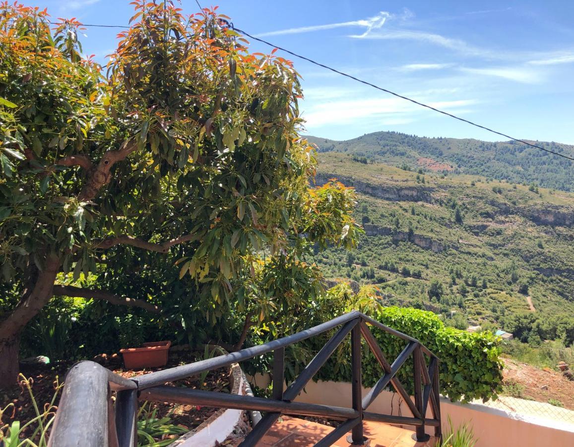 Bonita Hébergement de vacances *